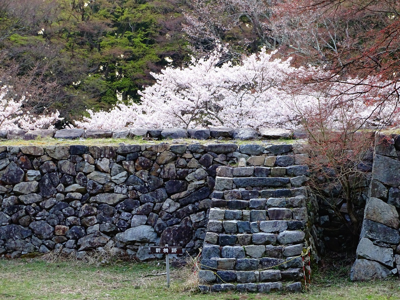 🏯 에보시 모양 공원 (에보시가타 코엔) 이미지 6
